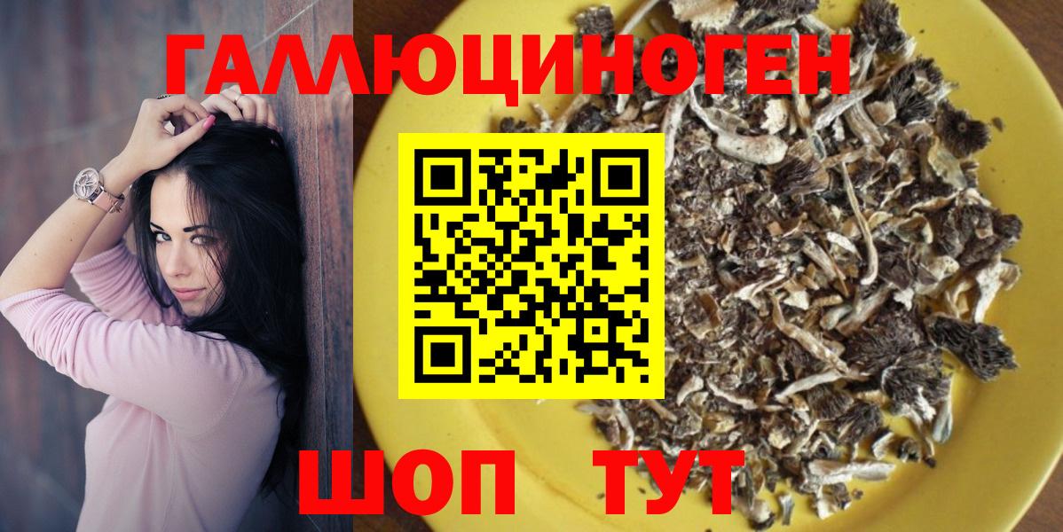 Галлюциногенные грибы прущие грибы  хочу   Ишим  Вход с VPN 